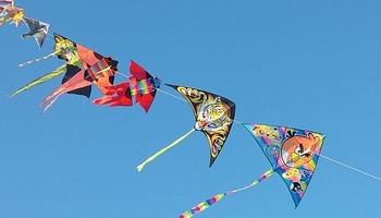 Energie update Witte Wind pad 6 - 18 november 2020: Kiezen met hart en ziel